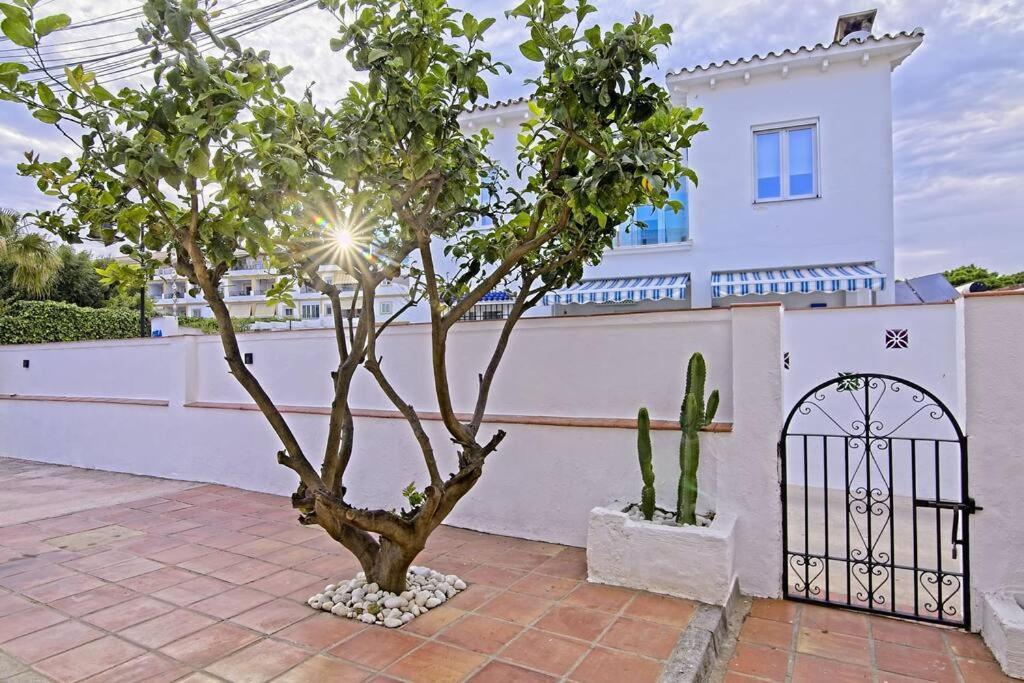 The Lemon Tree By The Sea Ferienhaus La Cala De Mijas